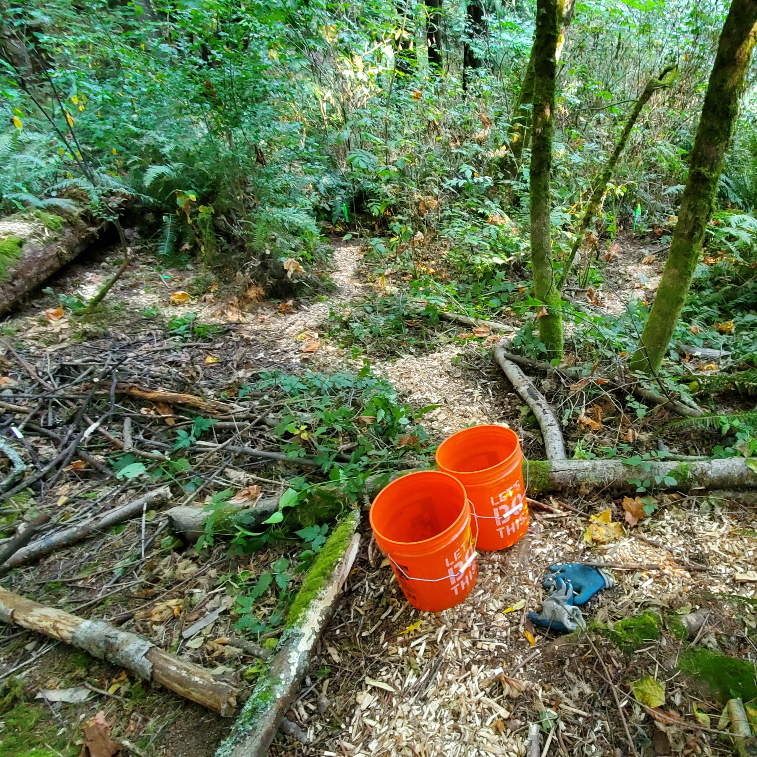 Note the five-gallon buckles used to carry the chips into the woods.