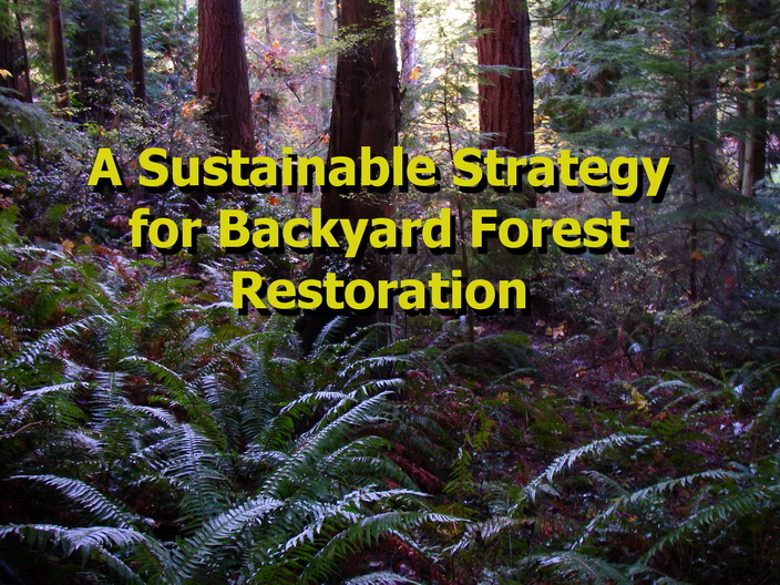 A Sustainable Strategy for Backyard Forest Restoration